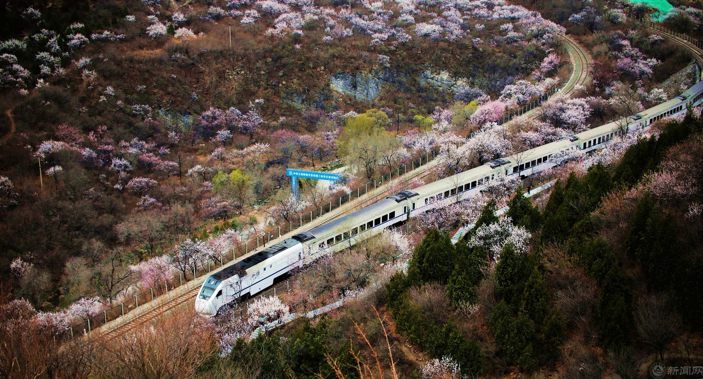 春天的快车—朱科雷.jpg 春天的快车—朱科雷.jpg